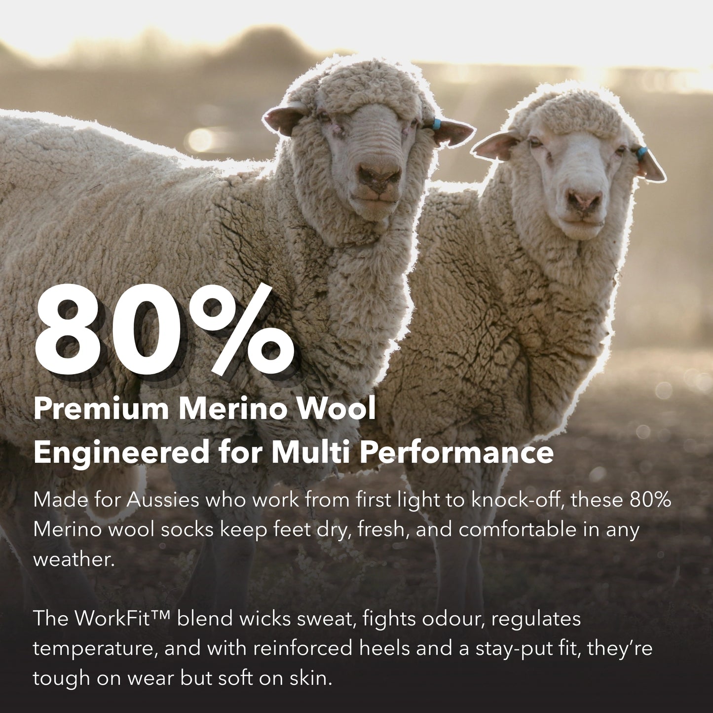 Premium Merino Wool WorkFit™ Socks.