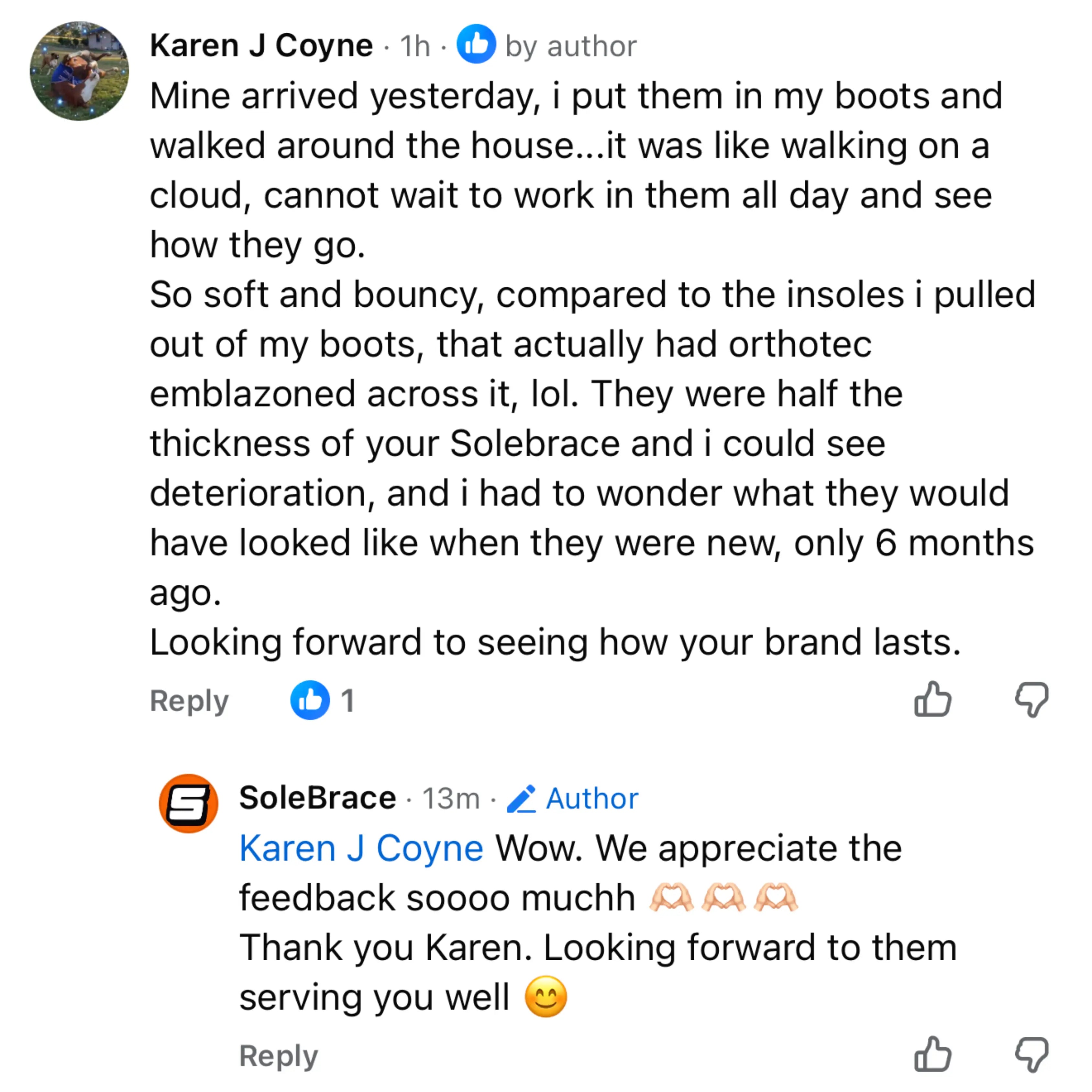 Customer Facebook comment about WorkFit Insoles, screenshot 1 of 11